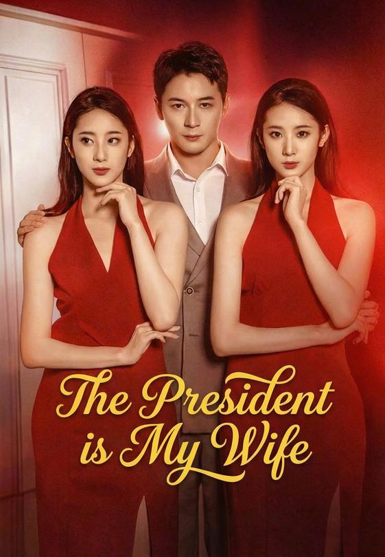 The President is My Wife