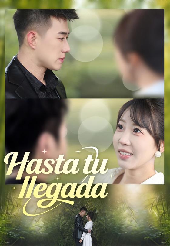 Hasta tu llegada