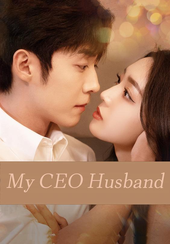 My CEO Husband