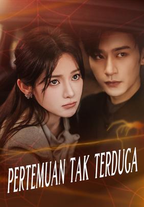 Pertemuan tak terduga