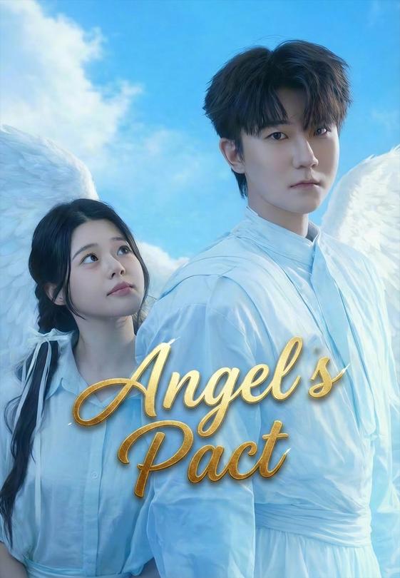 Angel's Pact
