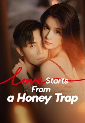 Love Starts From a Honey Trap