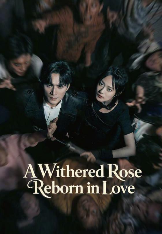 A Withered Rose Reborn in Love