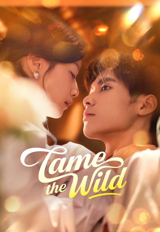 Tame the Wild