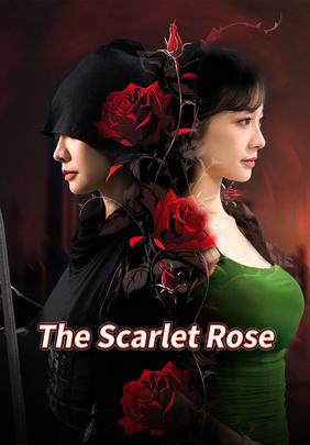 The Scarlet Rose