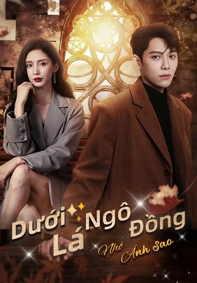 Dưới Lá Ngô Đồng Nhớ Ánh Sao