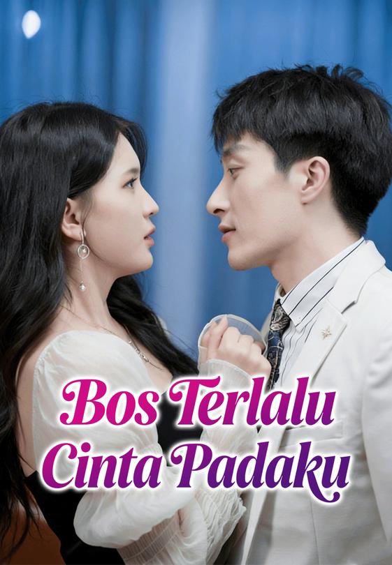 Bos Terlalu Cinta Padaku