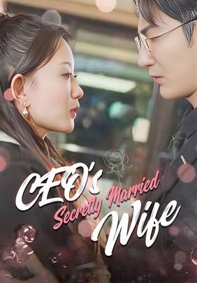 CEO's Secretly Married Wife