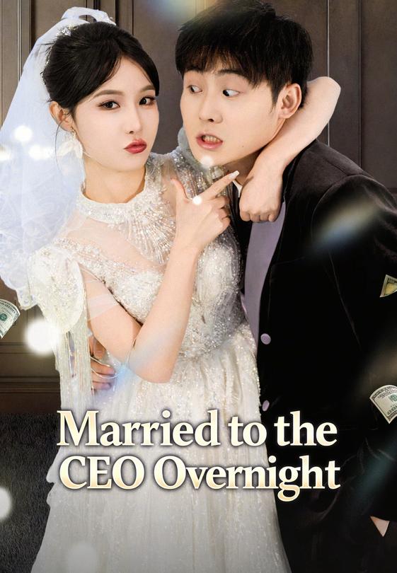 Married to the CEO Overnight