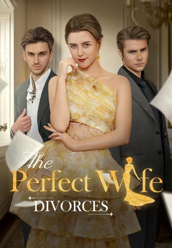 The Perfect Wife Divorces