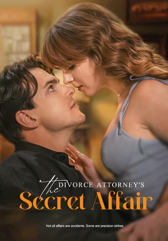 The Divorce Attorney's Secret Affair