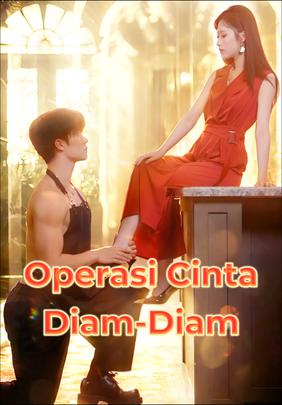 Operasi Cinta Diam-Diam