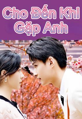 Cho Đến Khi Gặp Anh