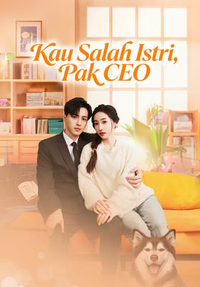 Kau Salah Istri, Pak CEO