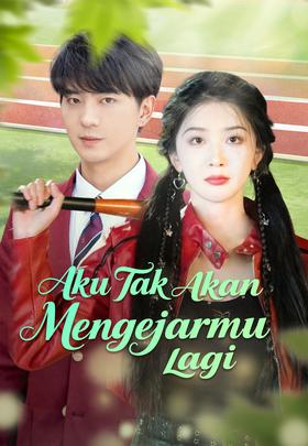 Aku Tak Akan Mengejarmu Lagi