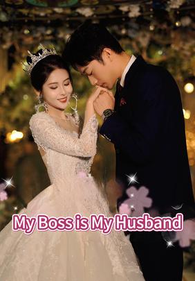 My Boss is My Husband