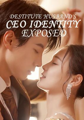 Destitute Husband's CEO Identity Exposed