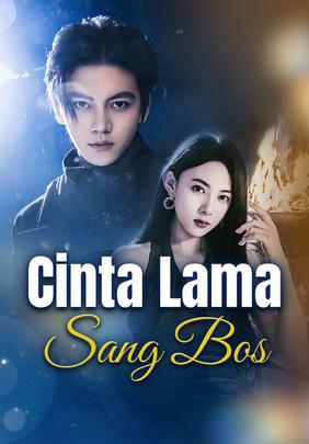 Cinta Lama Sang Bos