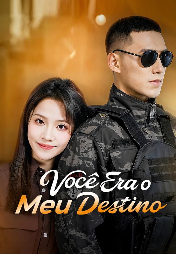 Você Era o Meu Destino
