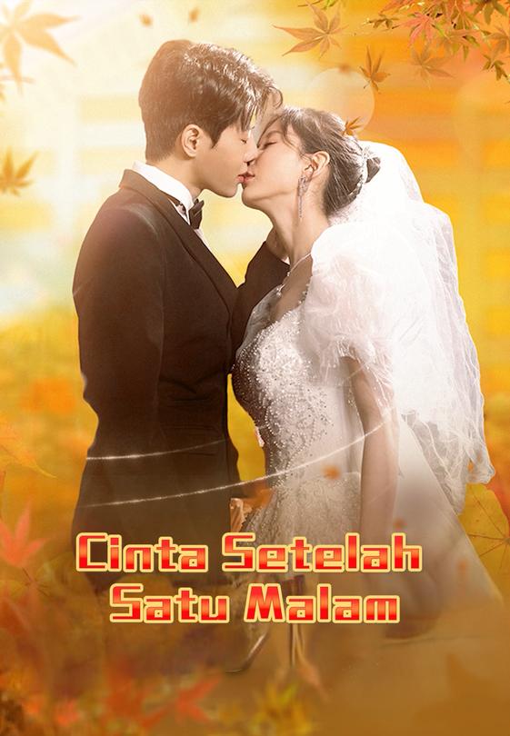 Cinta Setelah Satu Malam