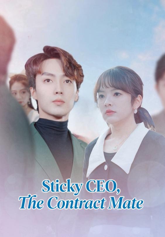Sticky CEO, The Contract Mate